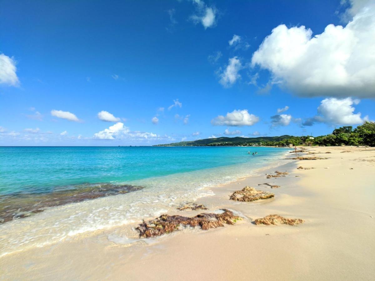Frederiksted Sand Castle On The Beach - Adults Only מראה חיצוני תמונה